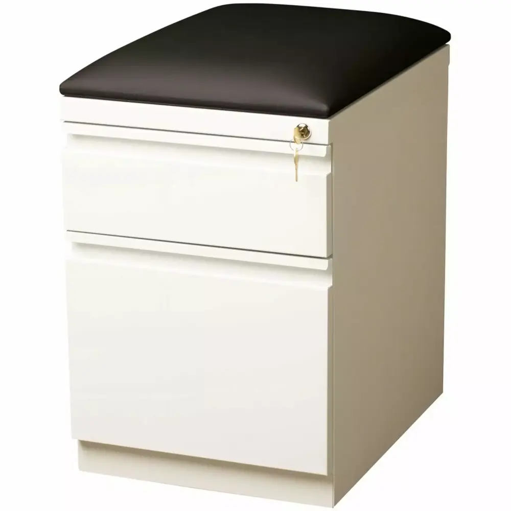 Scranton & Co 2-Drawer Metal Mobile Pedestal File Cabinet White Black Office Storage