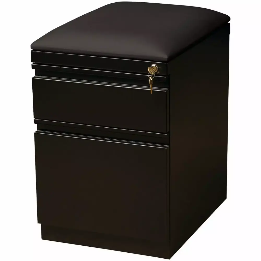 Scranton & Co 2-Drawer Metal Mobile Pedestal File Cabinet Cushion Black