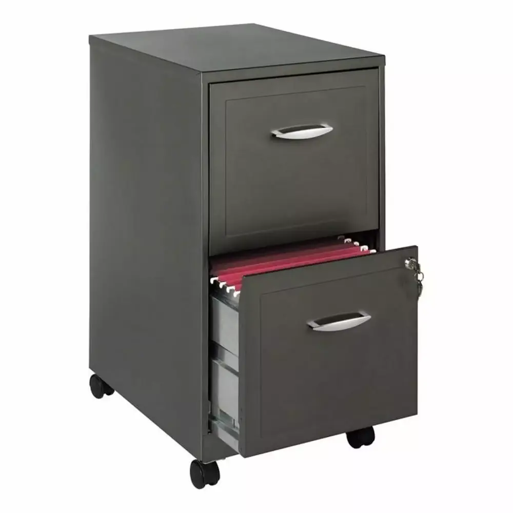 Scranton & Co 2-Drawer Modern Metal Mobile Smart Vertical File Cabinet Gray