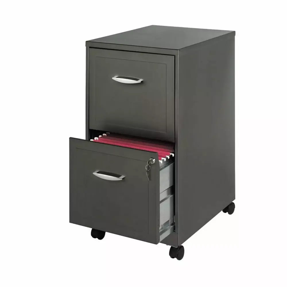 Scranton & Co 2-Drawer Modern Metal Mobile Smart Vertical File Cabinet Gray