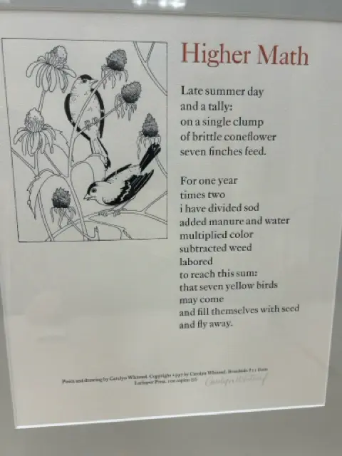 HIGHER MATH BIRD PIC | Museum-Quality Print