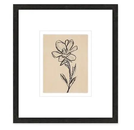 Floriculture II | Wall Art Decor