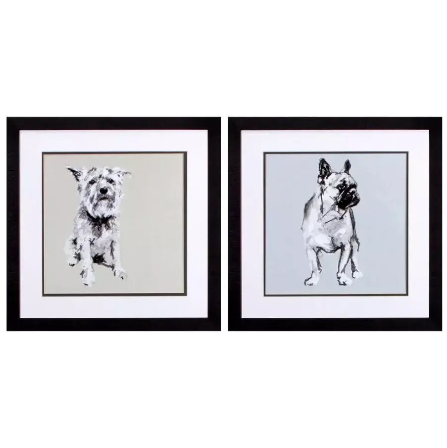 Modern Dog