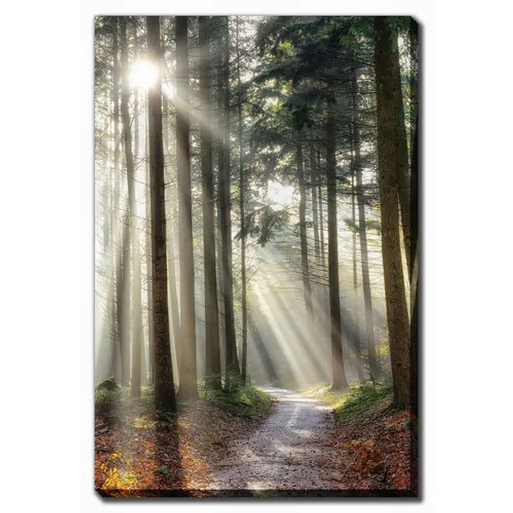 Sunny Path Duck cloth Print, 30'' x 45''