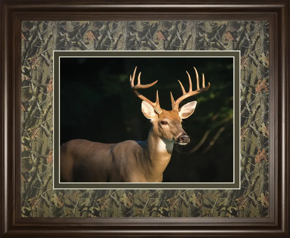 White Tail Buck Tony Campbell Double Matted - Framed Print Wall Art - Black