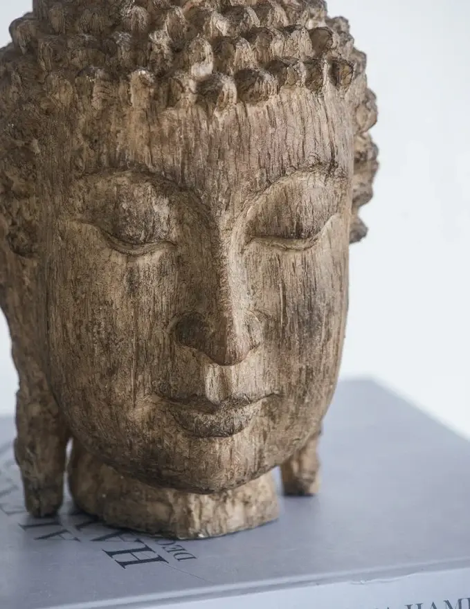 Meditating Buddha Head