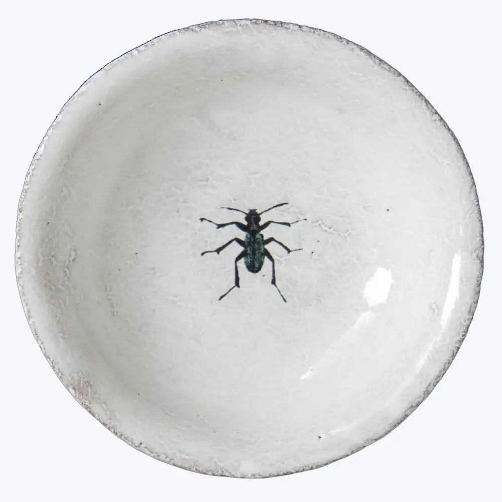 Beetle Saucer
