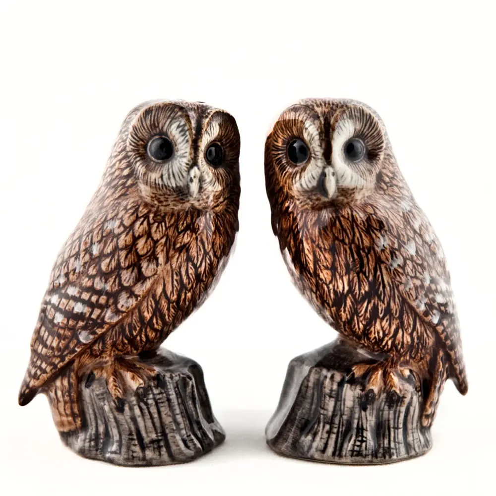 Ceramic Tawny Owl Salt and Pepper Shaker Set