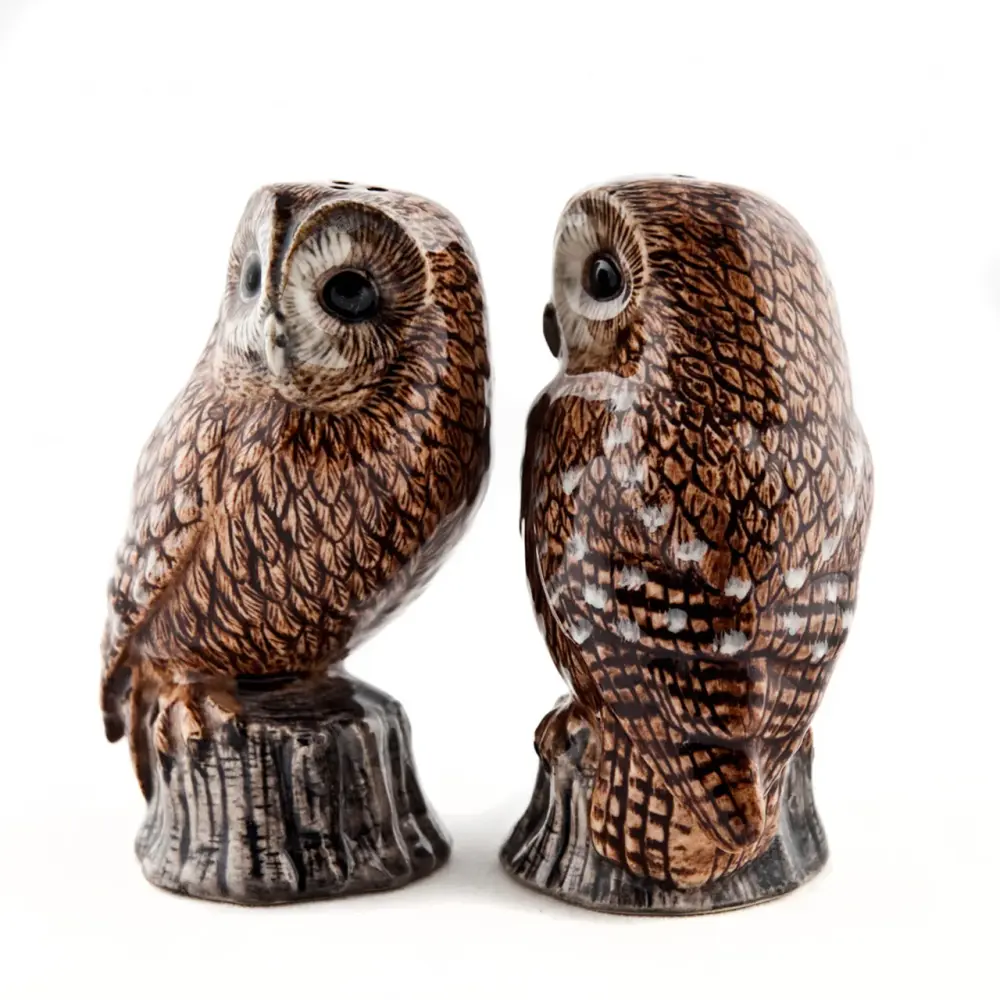 Ceramic Tawny Owl Salt and Pepper Shaker Set