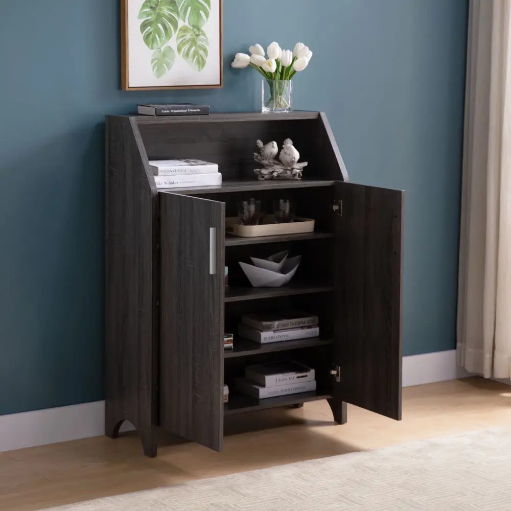 Modern Shoe / Storage Cabinet Two Door 4 Shelves