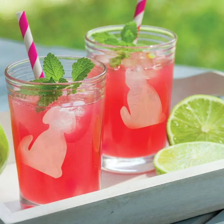 Perfect Dog Ice Cube Tray and Chocolate Mold