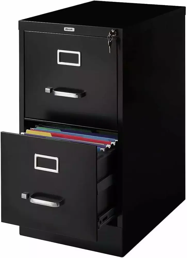 U-ToBe 2-Drawer Vertical File Cabinet Locking Letter Black 22-Inch D Office Home Homezy