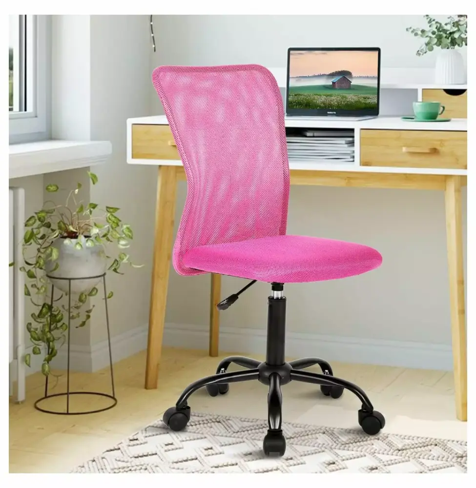 Cute Adjustable Armless Ergonomic Office Chair Mesh Back Soft Seat Swivel Rolling Task Chair Women Drevy