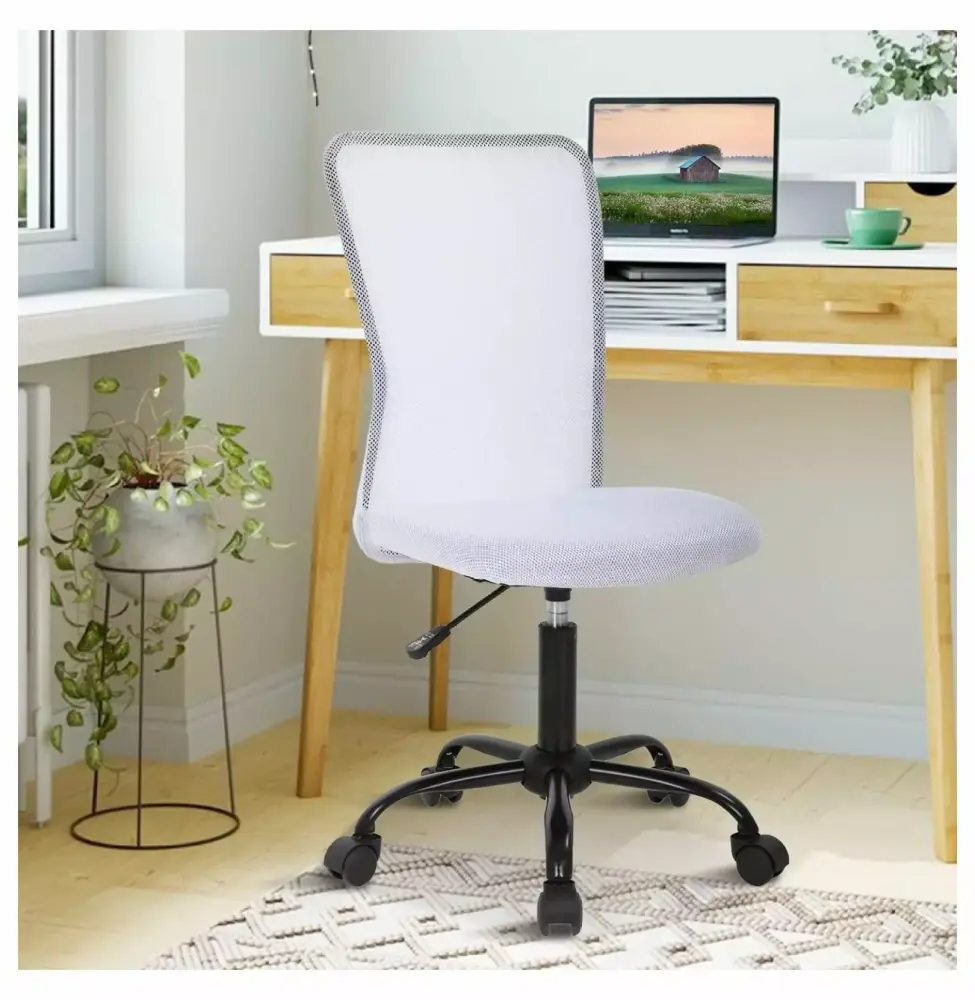 Cute Adjustable Armless Ergonomic Office Chair Mesh Back Soft Seat Swivel Rolling Task Chair Women Drevy