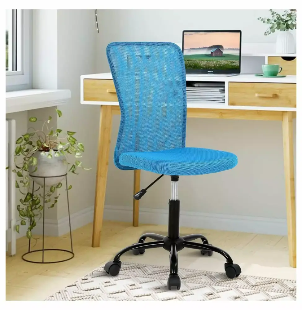 Drevy Cute Adjustable Armless Ergonomic Office Chair Mesh Back Soft Seat Swivel Rolling Task Chair Blue