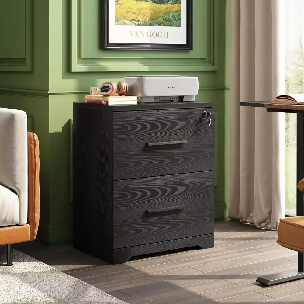BIZFURN 2-Drawer Wood Lateral File Cabinet Lock Office and Home