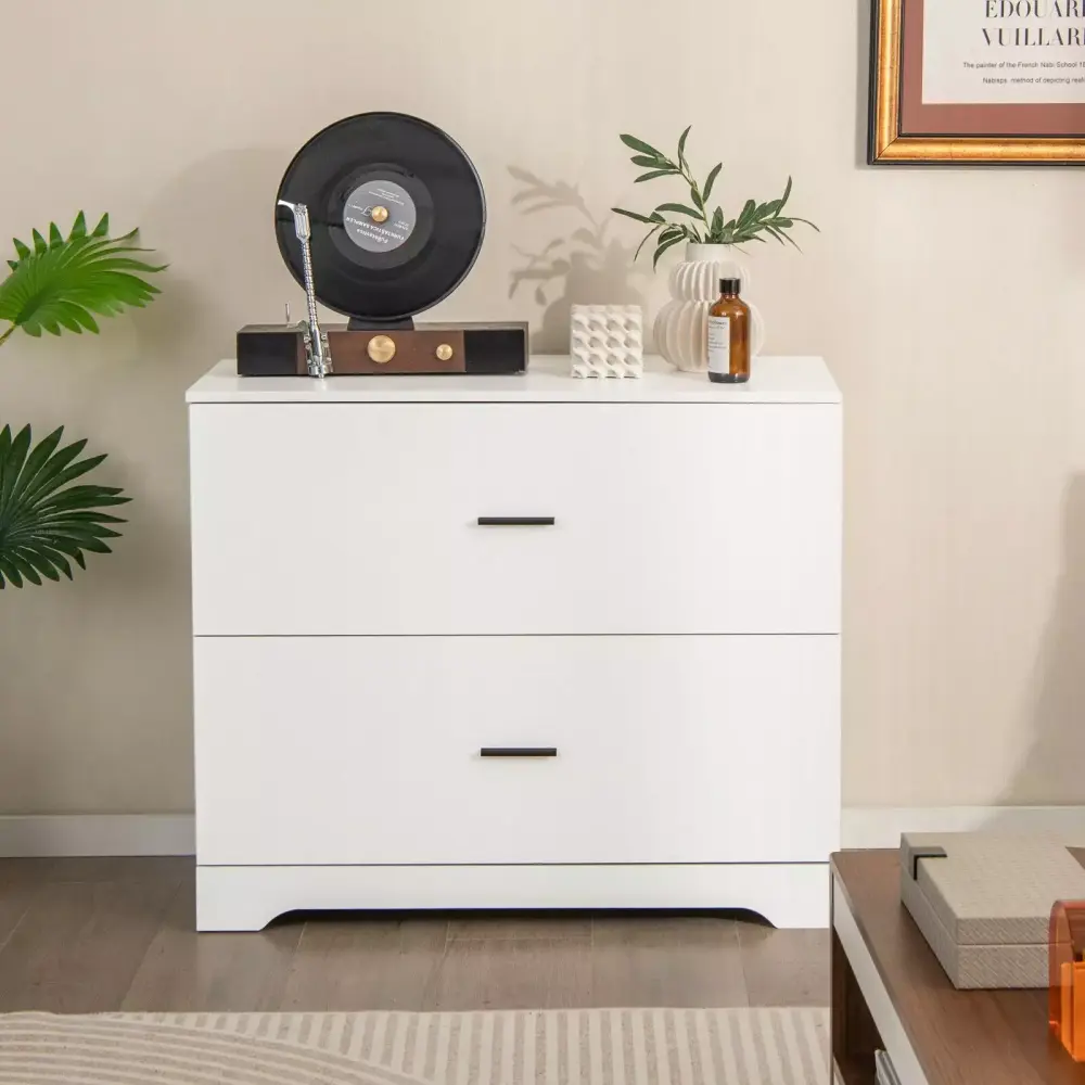 Amijoy 2-Drawer Wood Lateral File Cabinet Adjustable Bars Home Office White