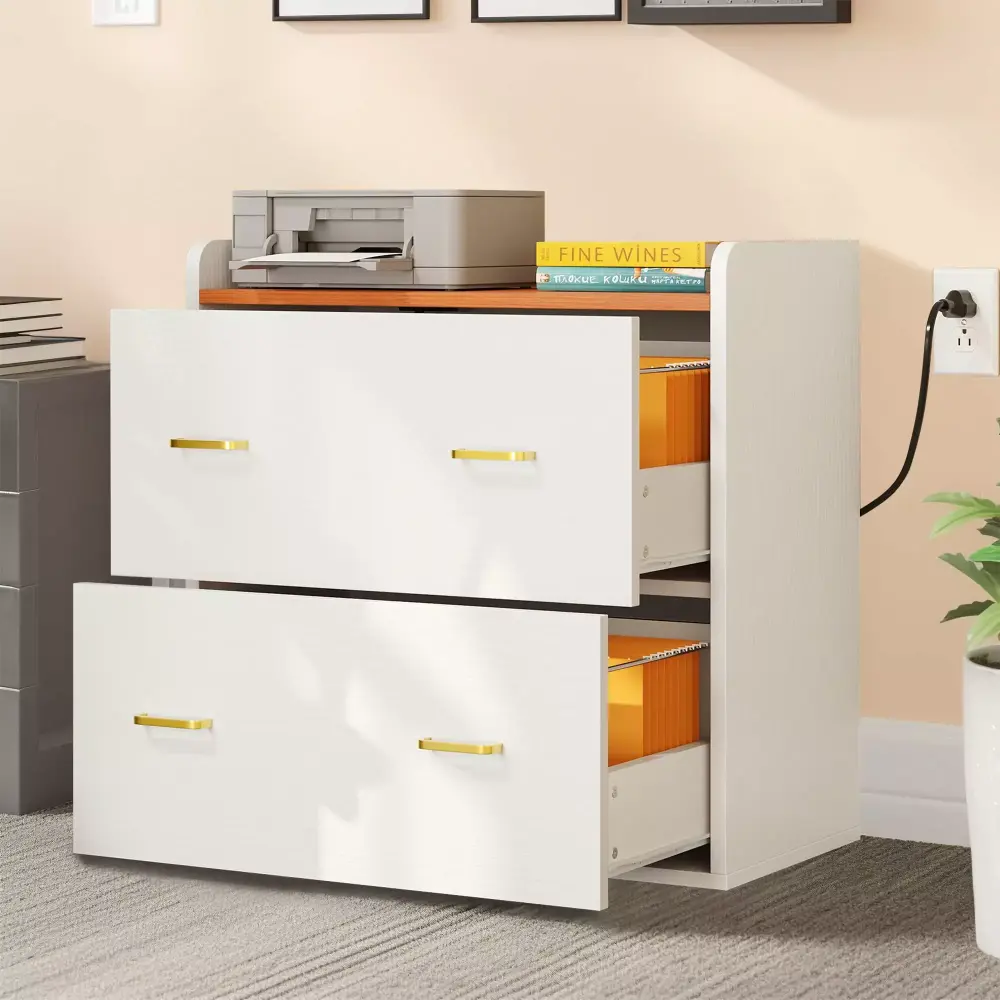DWVO 2 Drawer File Cabinet Charging Station Wood Lateral Filing Cabinet Printer Stand Fits A4 Letter Legal Size Files Whit...